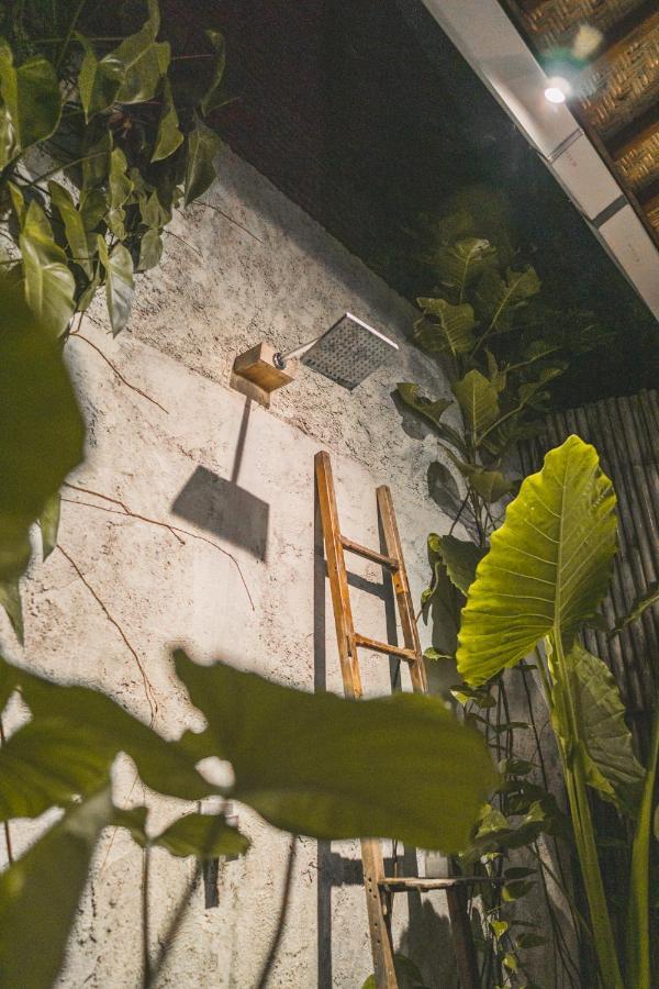Adara Homestay *