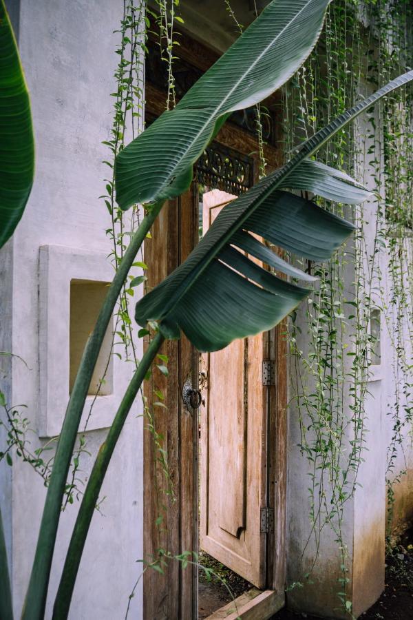 Homestay Adara